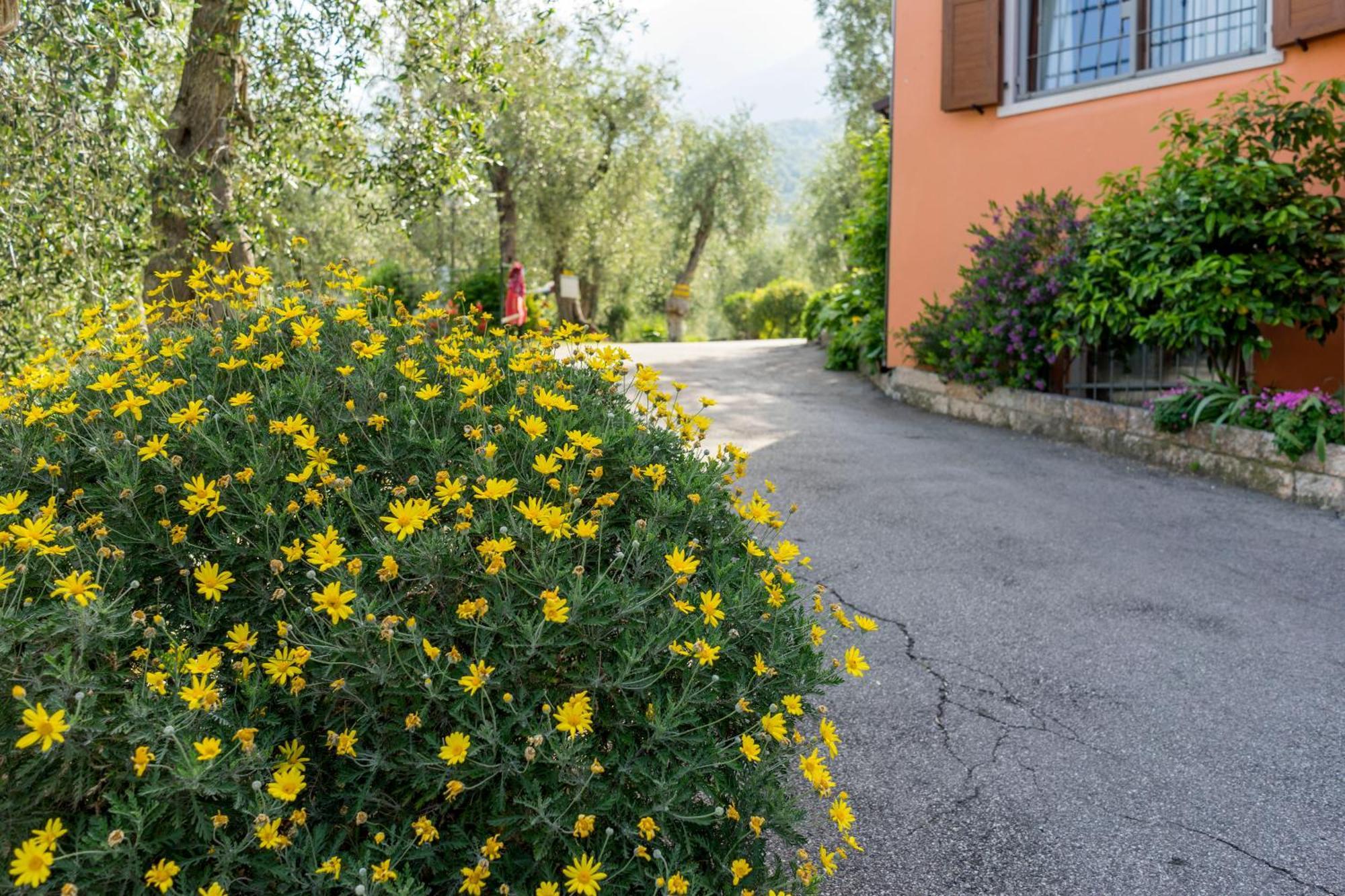 Monja Village Brenzone sul Garda Exteriér fotografie