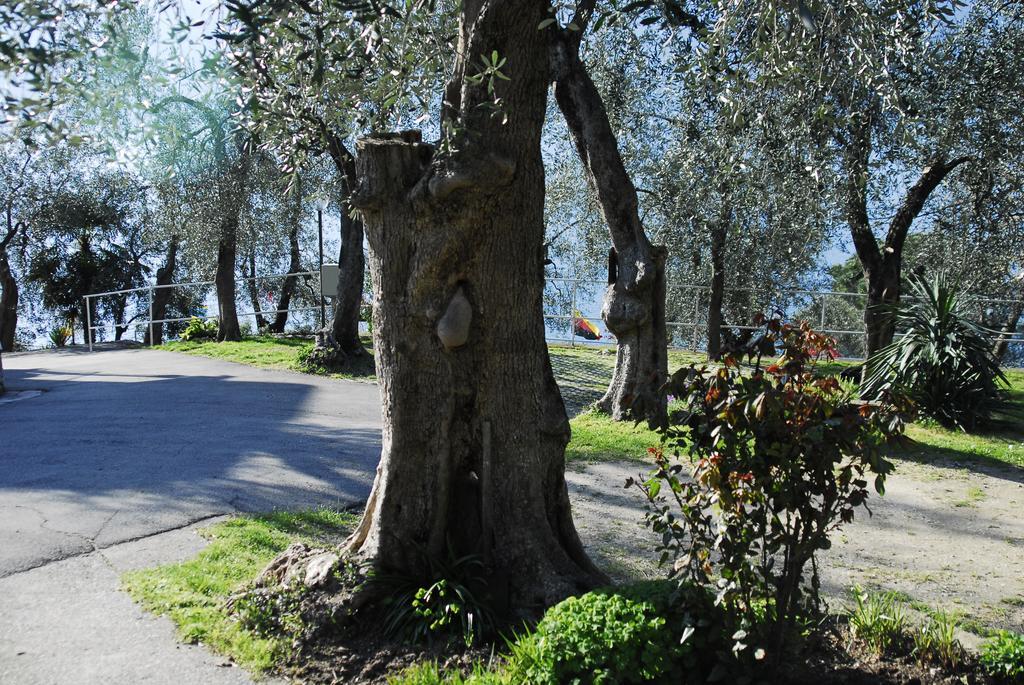 Monja Village Brenzone sul Garda Exteriér fotografie
