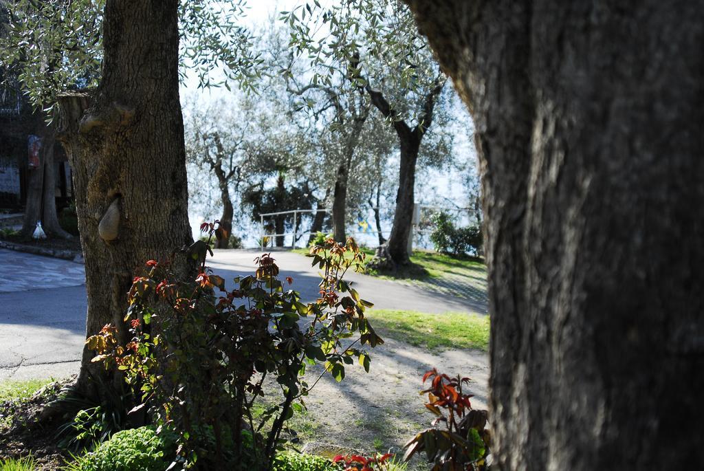 Monja Village Brenzone sul Garda Exteriér fotografie